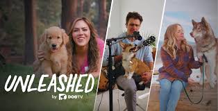 Unleashed by Dog TV